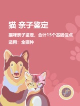 (单项)猫咪猫亲子鉴定猫咪DNA检测遗传