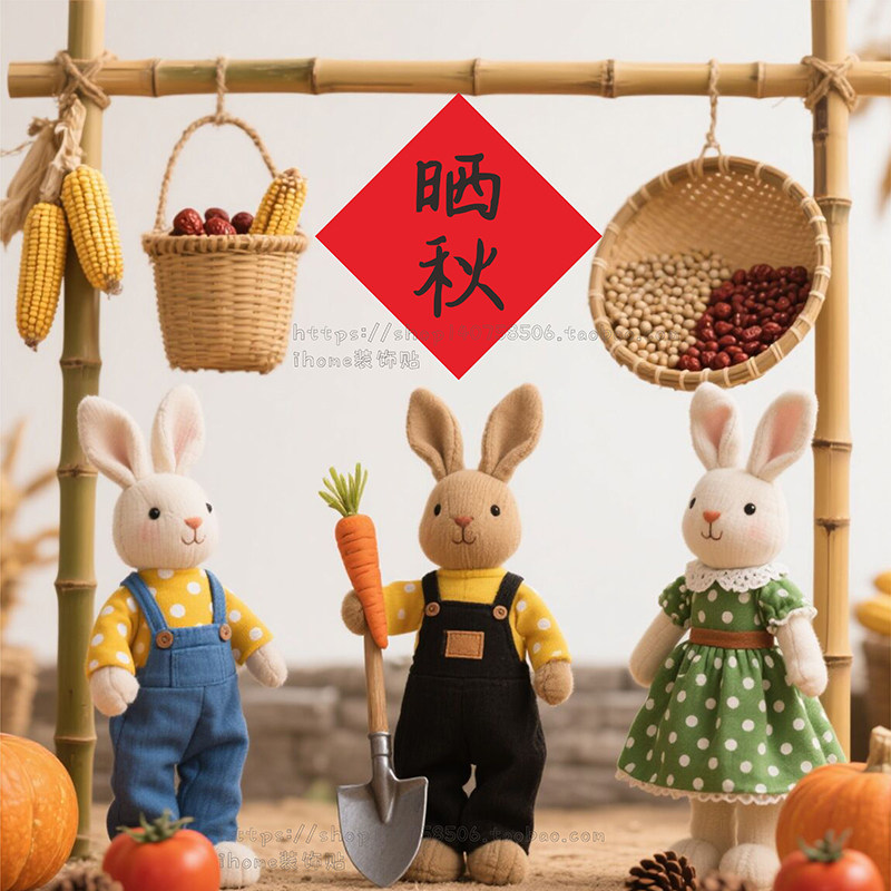 民俗活动字贴纸丰收晒秋簸箕民族节日装饰赶年六月六福年货节特产,淘宝优惠券,粉丝福利购,淘宝优惠卷