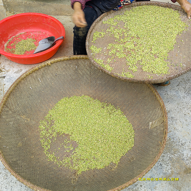 湖北恩施特产农家干小黄豆豆芽种磨豆浆高山小绿大豆杂粮500g包邮 - 图1