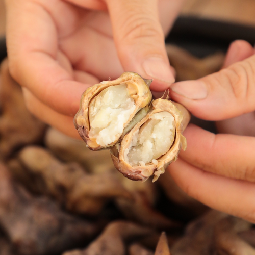 洪湖王文娟新鲜菱角4斤水栗子粉菱角棱角菱果凌果2000g京东 - 图2