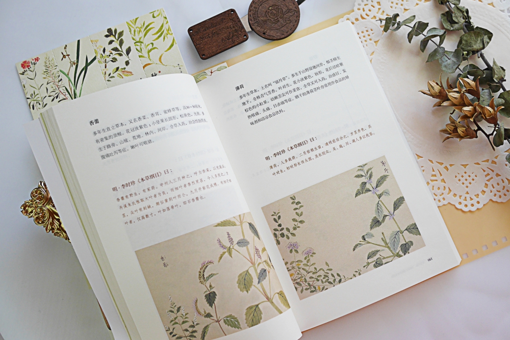 生生不息本草里的草木果蔬谷中国传统本草经典精选267种精美本草图再现日本大型植物图谱本草图谱的艺术魅力_虎窝淘