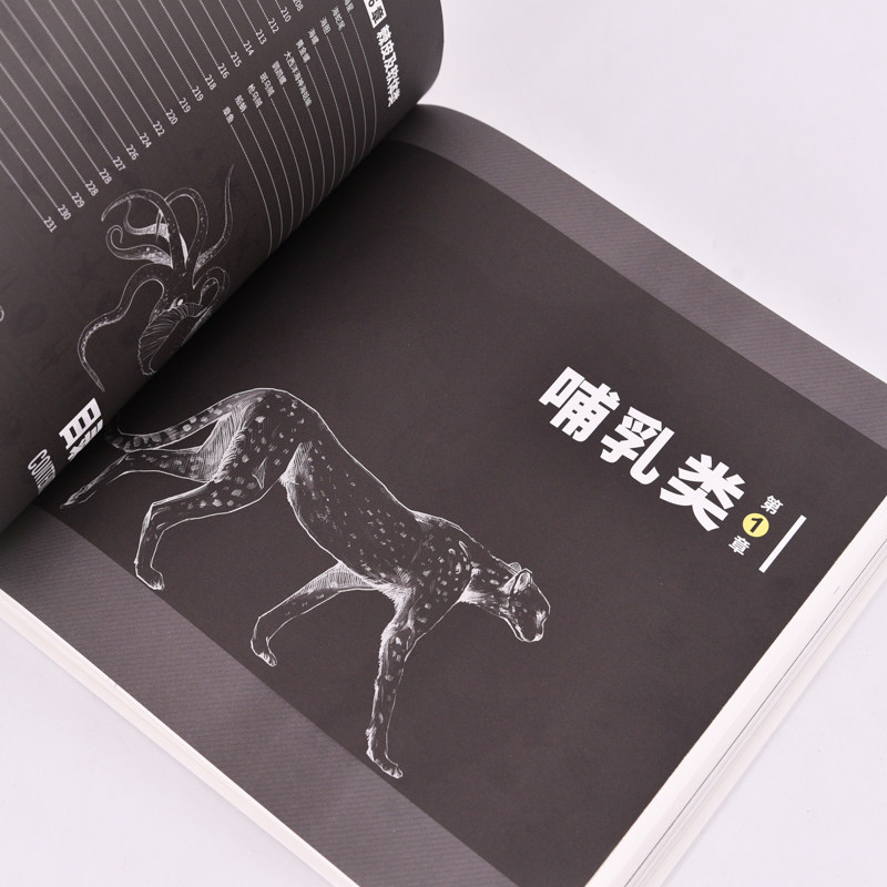 动物结构图鉴 动物百科科普书科普绘本画集画册 动物结构哺乳动物昆虫飞禽走兽科普图册
