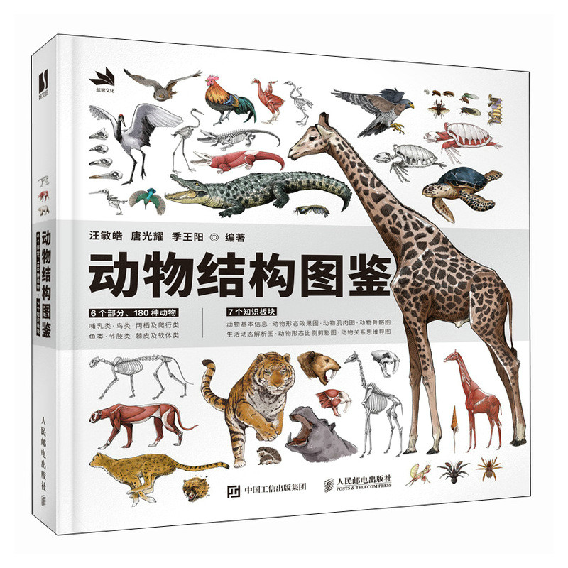 动物结构图鉴 动物百科科普书科普绘本画集画册 动物结构哺乳动物昆虫飞禽走兽科普图册