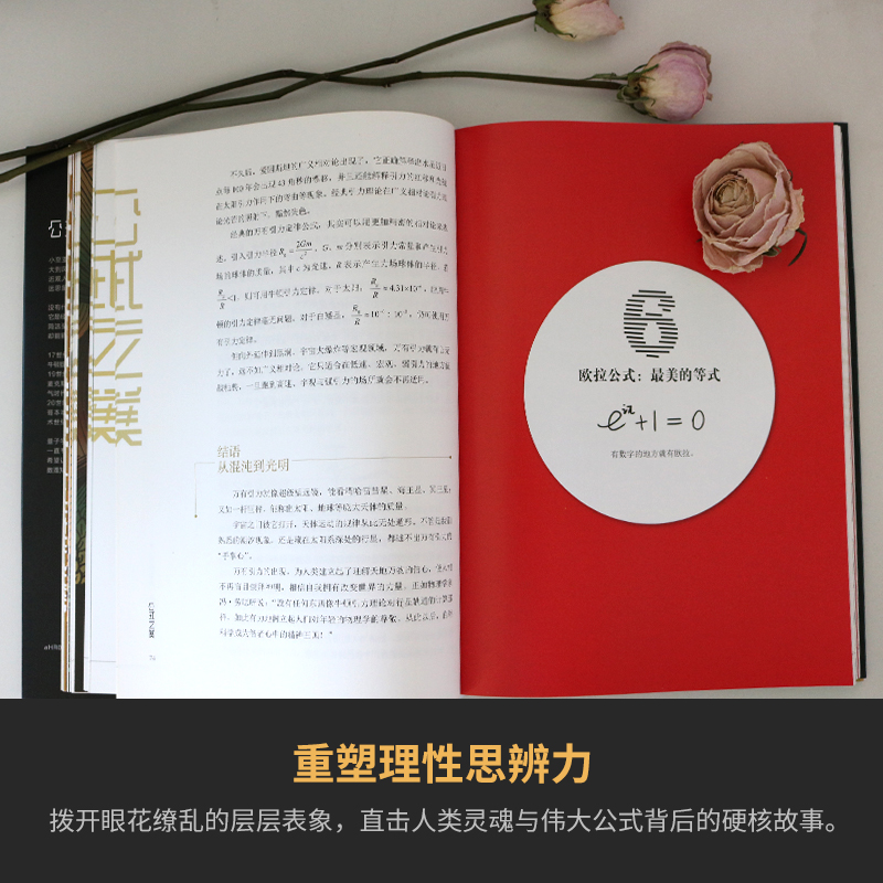 公式之美 量子学派著 世界的繁华秀丽映衬出符号公式的简洁之美包含23个普遍实用的公式 书写天才们探索自然和社会历史【印签版】