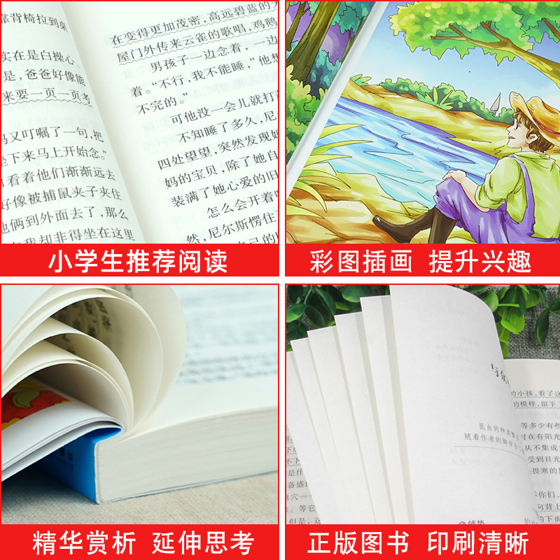 4册鲁滨逊漂流记正版六年级课外书汤姆索亚历险记快乐读书吧六年级下册非必读课外阅读骑鹅旅行记正版小学生版原著爱丽丝漫游奇境 - 图1