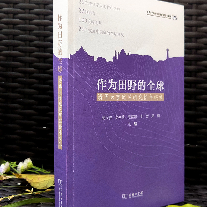 作为田野的全球——清华大学地区研究拾年巡礼