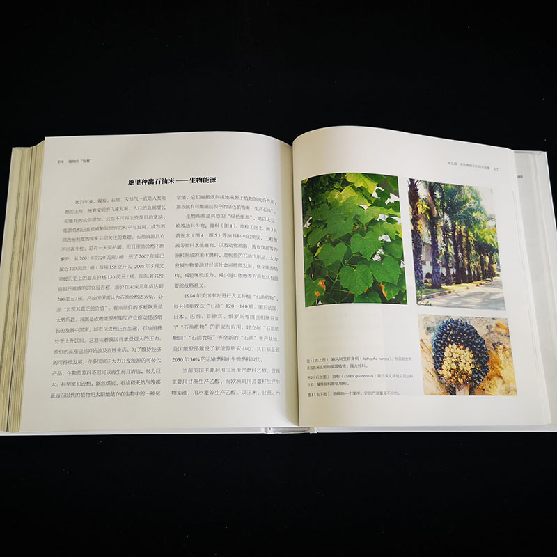 正版包邮】植物的“智慧” 马炜梁 寿海洋 北京大学 结合植物分类学生态学环境生物学行为学等学科去理解植物的生存之道图书籍