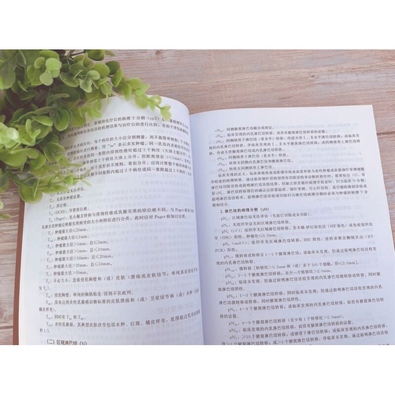 常见肿瘤诊疗实践 癌症诊疗指南 肿瘤科常见病诊断及治疗 新抗肿瘤药 新靶向药物 新化疗方案
