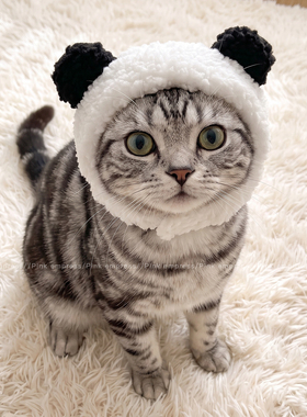 宠物头套小猫头戴式头套狗狗变身