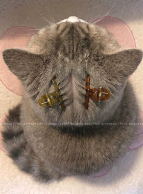 猫咪发夹宠物驱虫神器外驱辅助