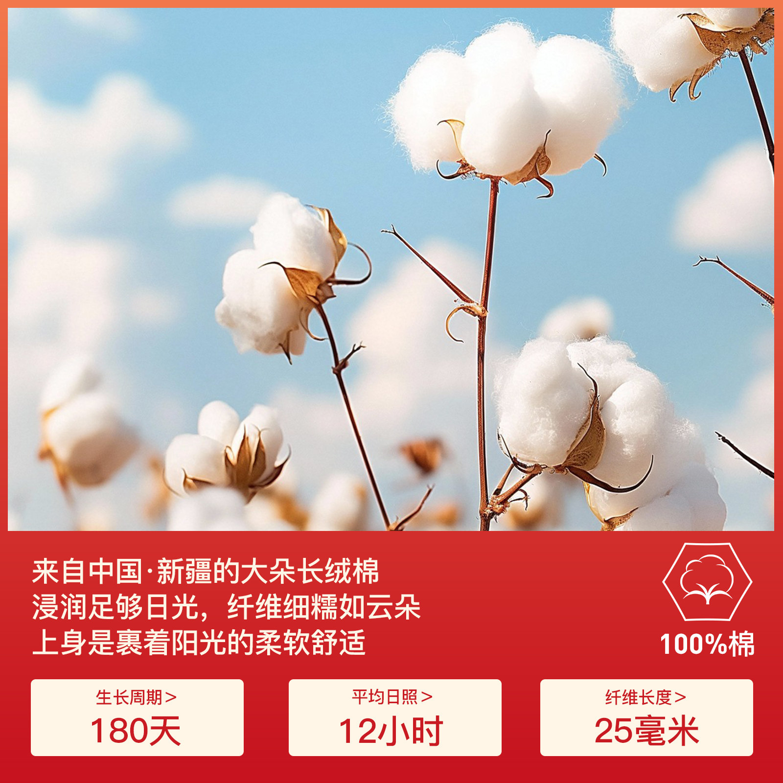 本命年妈妈保暖套装女加厚内衣中老年人大红色纯棉秋衣秋裤男马年,淘宝优惠券,粉丝福利购,淘宝优惠卷