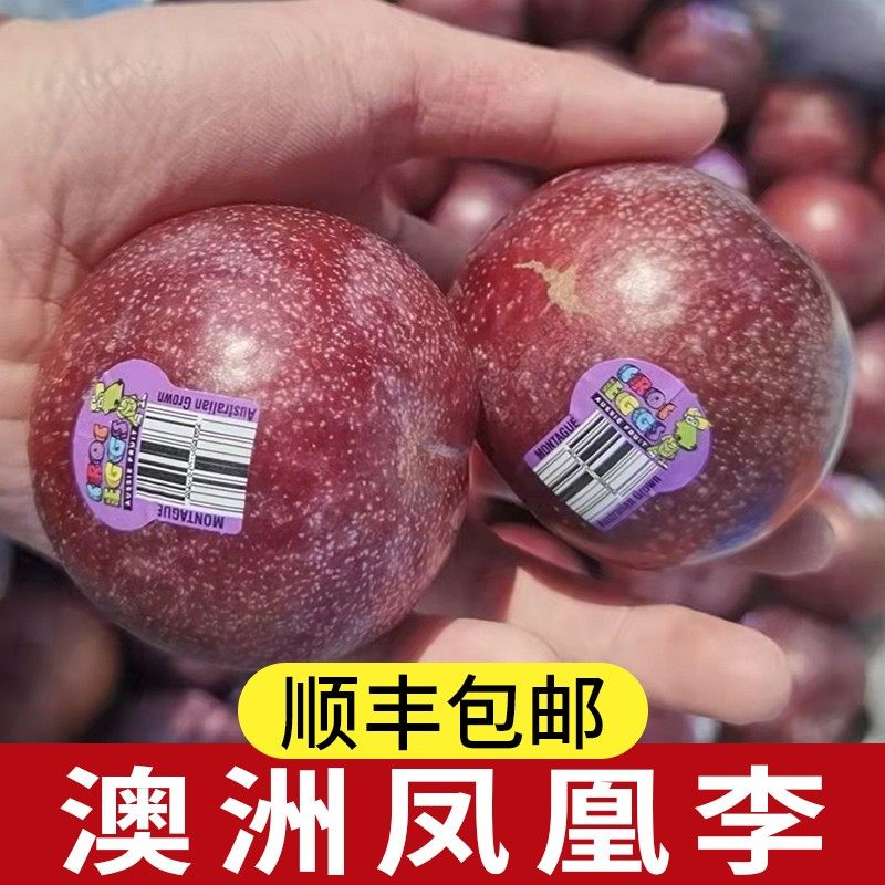 澳洲进口凤凰李3斤装血丝李蜥蜴蛋新鲜红肉红心李子孕妇水果包邮,淘宝优惠券,粉丝福利购,淘宝优惠卷