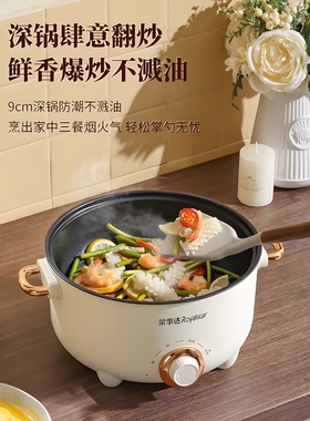 荣事达电煮锅多功能一体