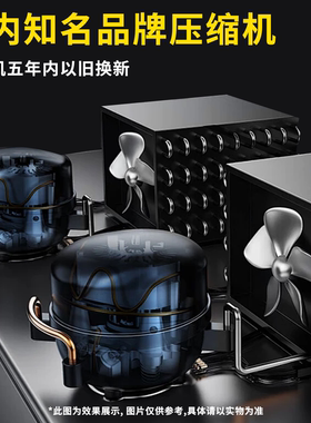 风冷冰糖葫芦展示柜老北京迷你小串冷藏保鲜柜商用移动摆摊冷冻柜