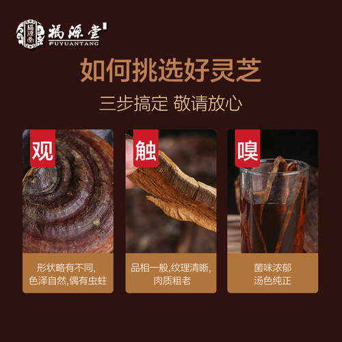 野生灵芝无柄赤芝整枝林芝红紫芝可切片250g 买3送孢子粉 特级 - 图3