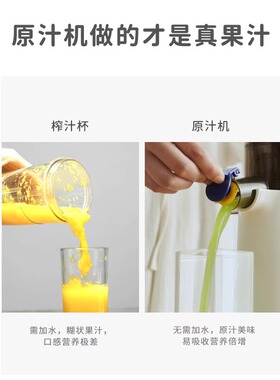 德国西兰普全自动渣汁分离榨汁机