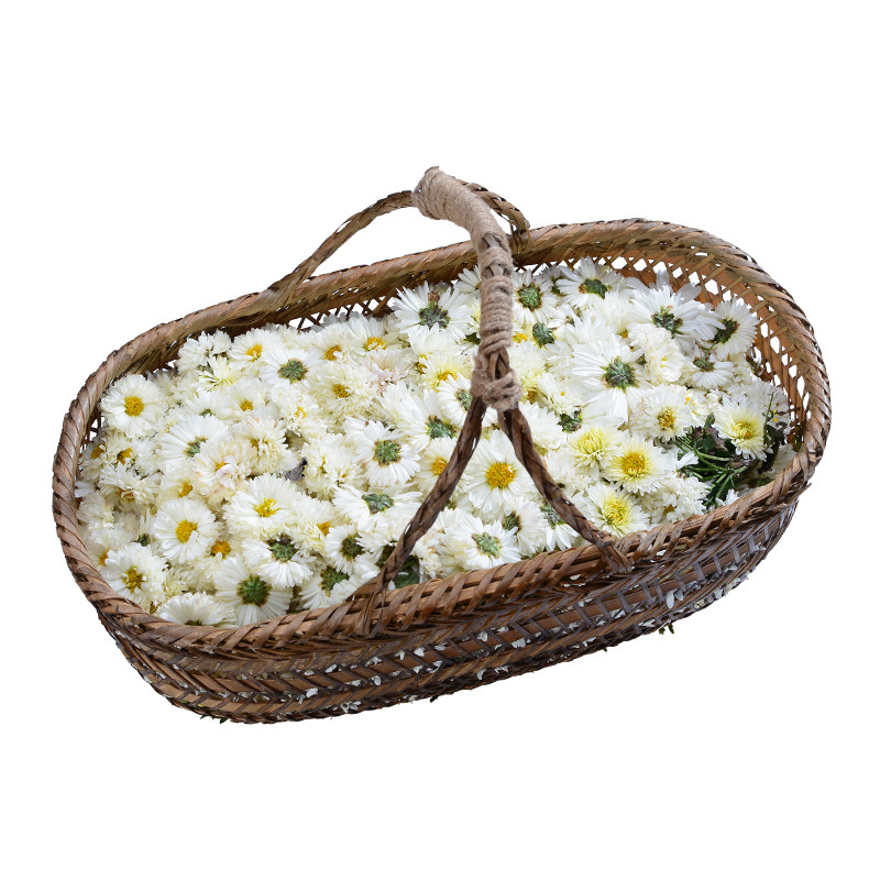 高山白菊花农家生晒白菊花茶杭白菊2瓶菊花茶新货干花花茶泡水喝