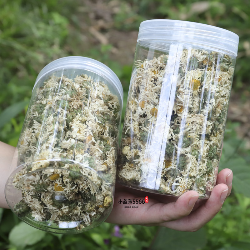 高山白菊花农家生晒白菊花茶杭白菊2瓶菊花茶新货干花花茶泡水喝