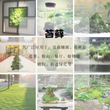 Мотовой ландшафт Моторный ландшафт Танк Бонсай поставил свежие мохи DIY Творческие растения Суд творческих растений