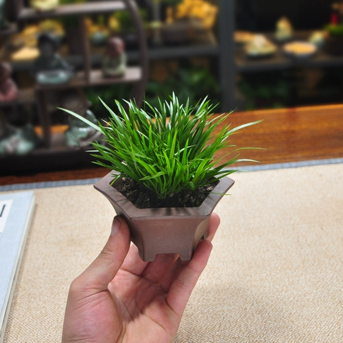 Золотые деньги 金 金 金 金 金 Внутренний завод по медитации в помещении в китайском стиле.