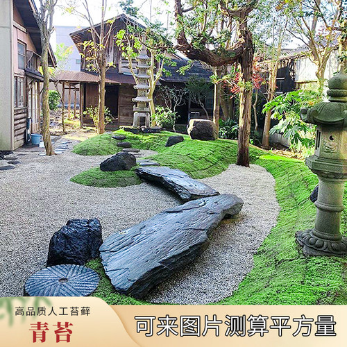 人工青苔星星苔藓砂藓情绪稳定绿植苔藓微景观庭院造景苔藓草皮 - 图0