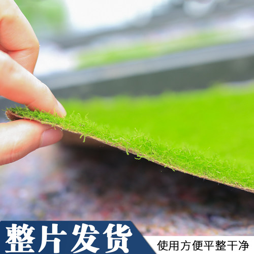 苔藓鲜活植物微景观人工短绒铺面青苔草皮室内假山造景盆景装饰 - 图2