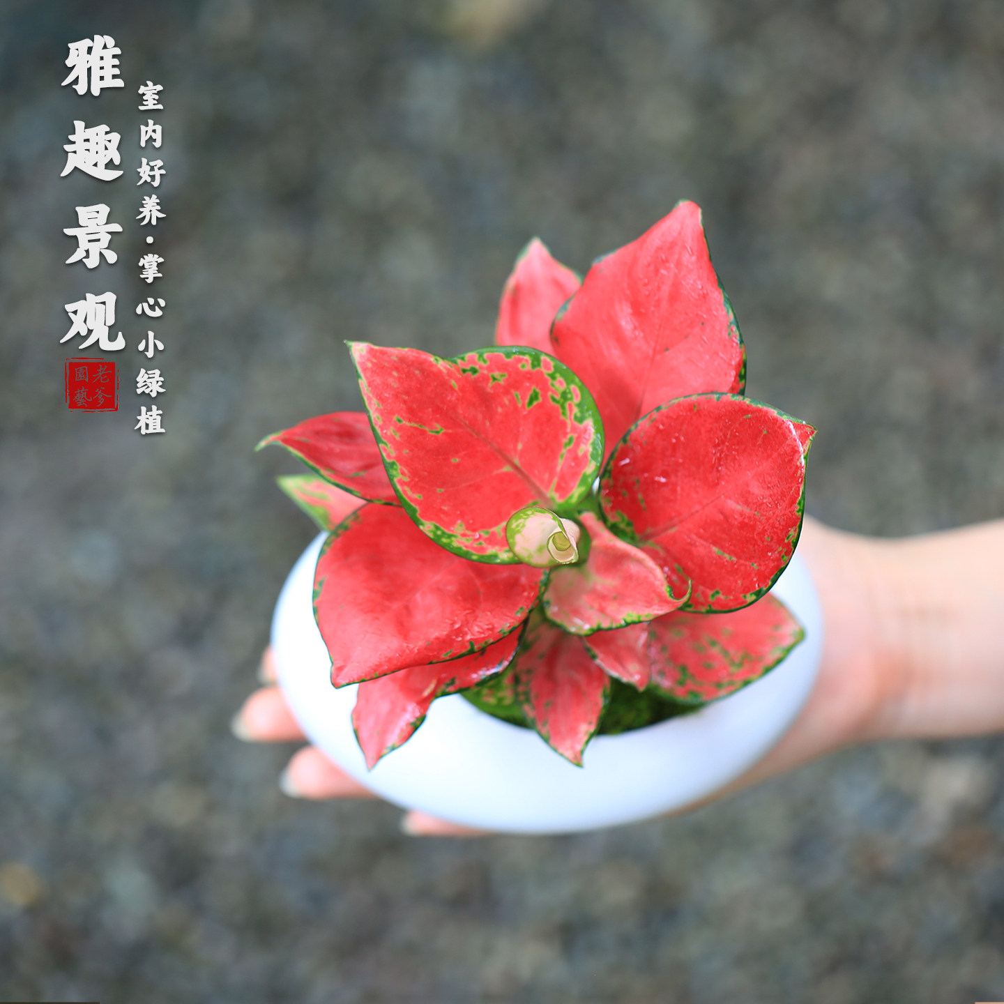 图3