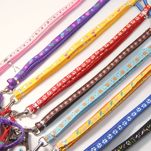 Щенка для щенка