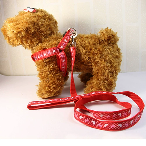 Щенка для щенка