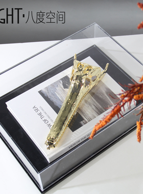 书桌陈设鳄鱼头骨摆件办公桌软装