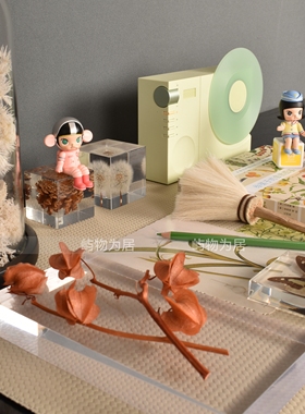 样板间儿童房泡泡玛特手办摆件