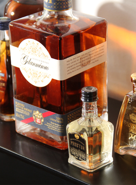 道具洋酒红酒装饰酒酒柜酒瓶摆件