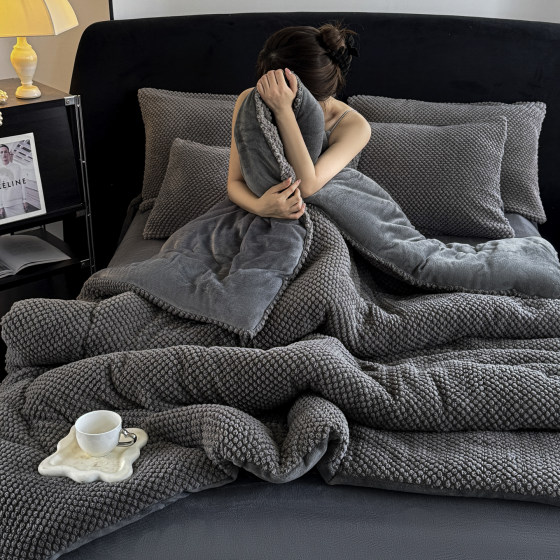 New winter milk velvet quilt winter quilt set of four double-sided thickened warm coral velvet single cotton quilt core