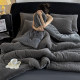 New winter milk velvet quilt winter quilt set of four double-sided thickened warm coral velvet single cotton quilt core