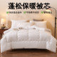Coral velvet quilt winter quilt warm thickened double-sided velvet removable and washable quilt cover dormitory complete set of quilt core quilt