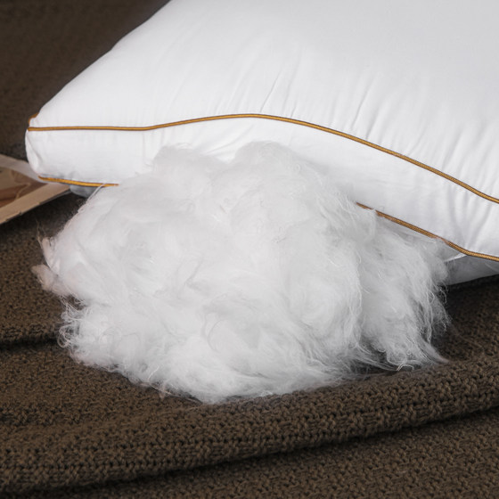 A pair of hotel style pillow inserts