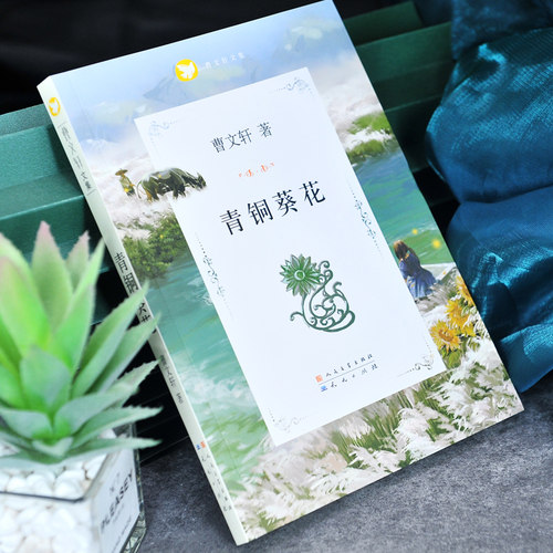 正版 芦花鞋青铜葵花 曹文轩原著完整版 人民文学出版社天天出版社四年级下册全套阅读课外书目五年级六年级小学生课外阅读书籍 - 图0