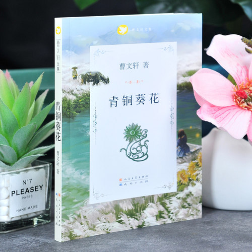 正版 芦花鞋青铜葵花 曹文轩原著完整版 人民文学出版社天天出版社四年级下册全套阅读课外书目五年级六年级小学生课外阅读书籍 - 图2
