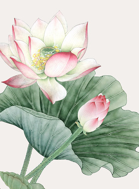 荷花九鱼图国画斗方形字画