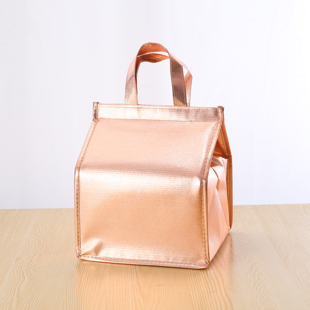 高档保温袋牛羊肉礼袋海参盆菜保冷袋酒店打包配送袋兔榴莲冷藏袋,淘宝优惠券,粉丝福利购,淘宝优惠卷