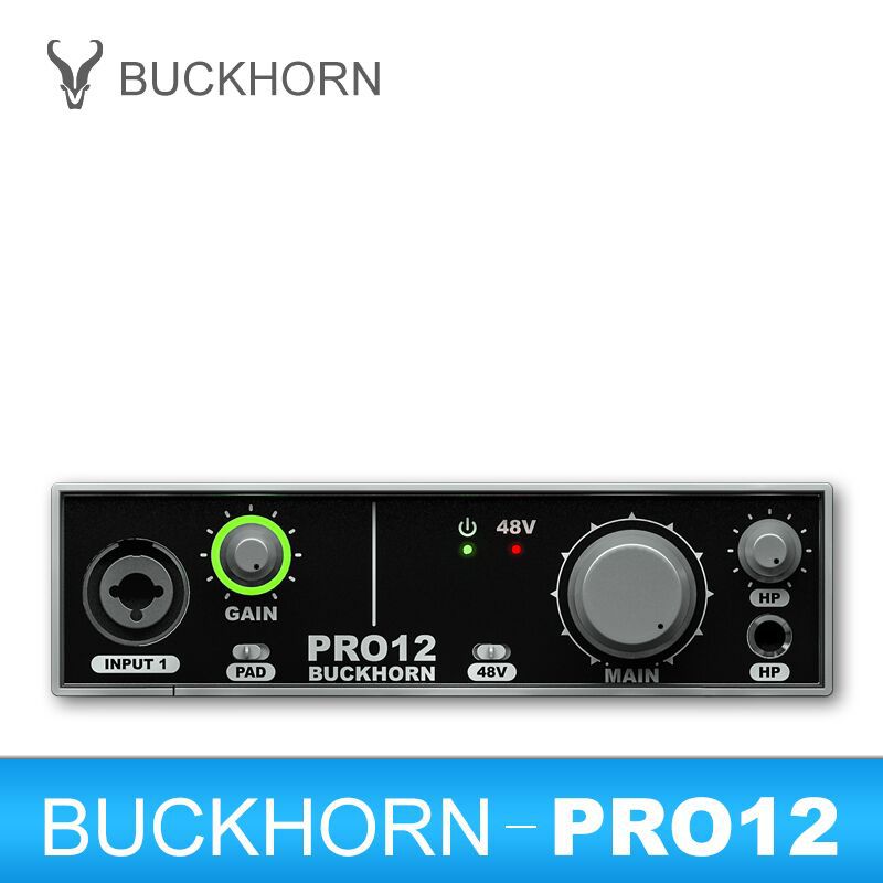 Buckhorn/跳羚PRO12外置声卡套装USB电脑录音K歌喊麦手机直播ASIO - 图2