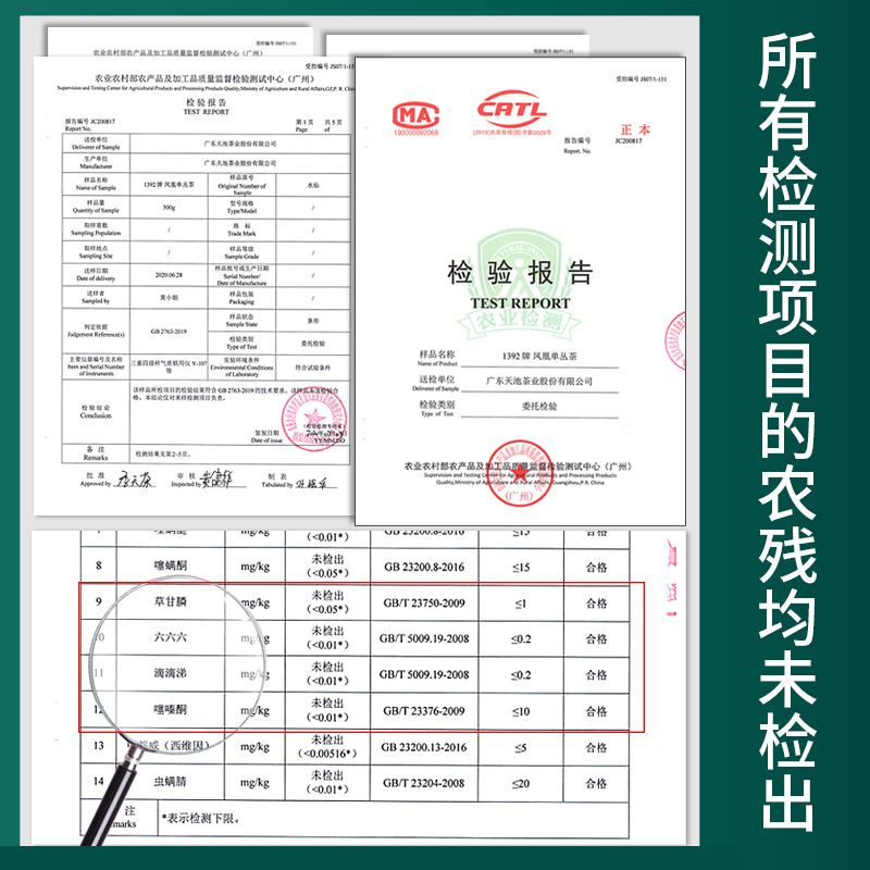 天池茶业凤凰单枞鸭屎香春茶1392传承广东潮州单丛罐装茶叶125克