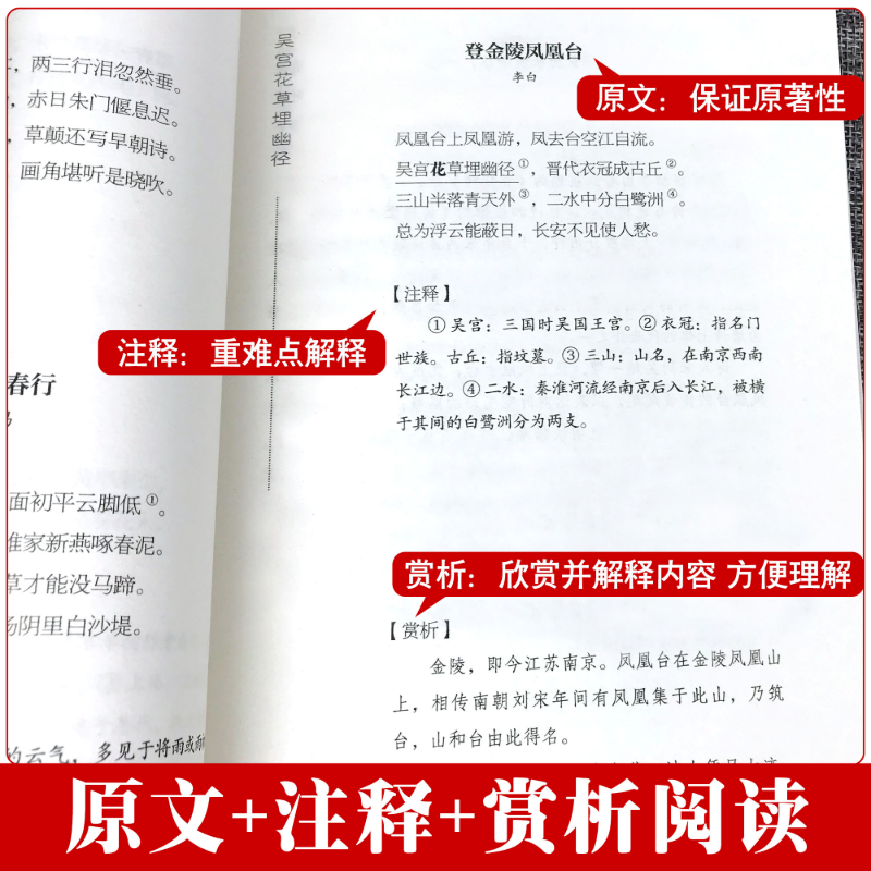 飞花令里读诗词全套3册唐诗宋词全集正版鉴赏辞典赏析中国文学古典浪漫诗词大会书籍 原文注释宋词三百首中小学生国学经典课外书籍