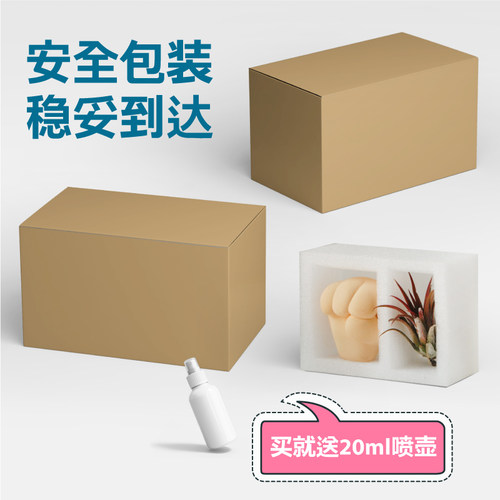 壹分皿空气凤梨空凤握了个草支架创意握草底座无土植物微景观 - 图0