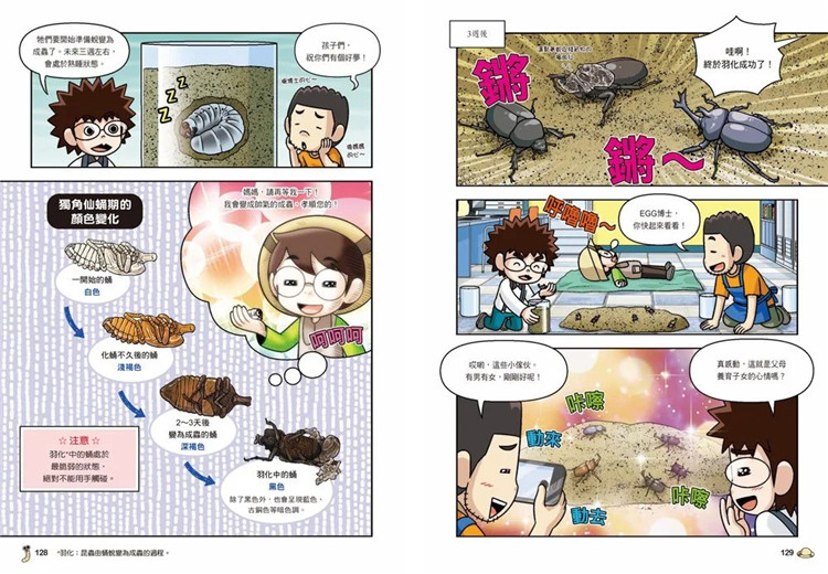 【预售】台版 野外生物观察漫画 虫虫博士1 虎头蜂 甲虫 三采 Egg&Bugs 课外读物训练观察力学习生物知识儿童科普绘本书籍