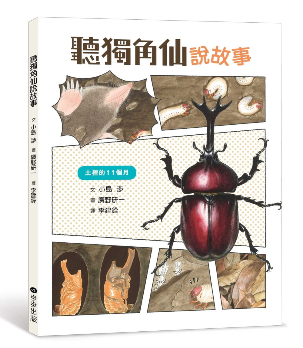独角仙书 新人首单立减十元 21年8月 淘宝海外