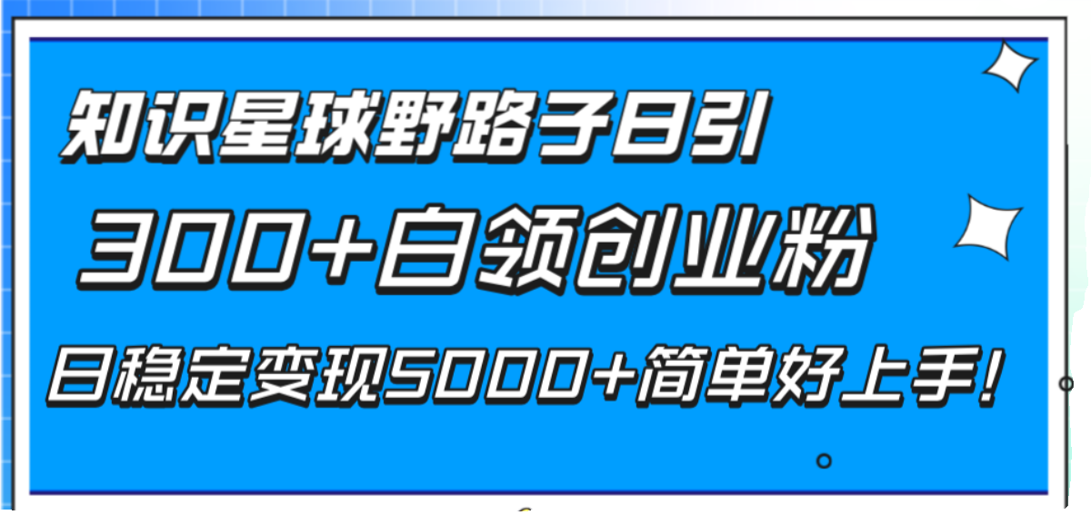 知识星球野路子日引300+白领创业粉，日稳定变现5000+简单好上手-图0