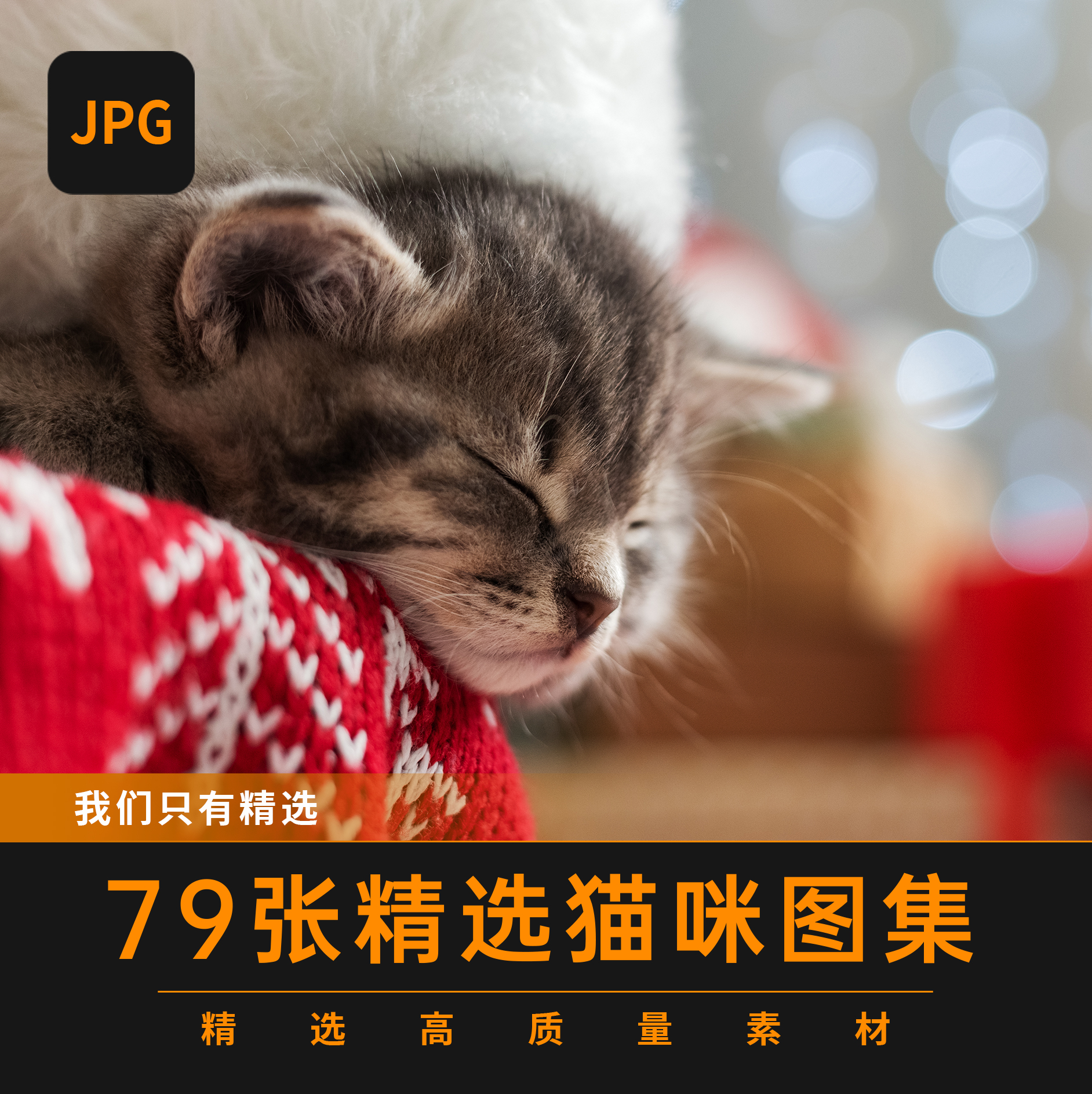 可爱猫咪图集喵星人高清图片设计素材自媒体资料宠物店美短橘猫蓝 - 图3