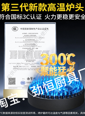 劲恒烤鸭炉木炭燃气特厚烧鹅炉