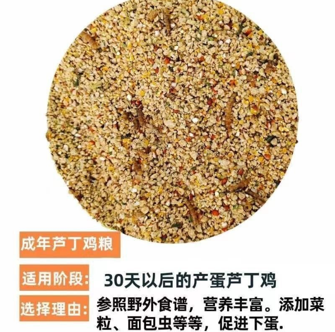 芦丁鸡饲料蔬菜干碎产蛋专用开口料鹌鹑下蛋粮食物育雏卢丁鸡食物 - 图1